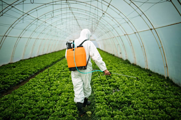 Best Pest Control Near Me  in Goshen, KY