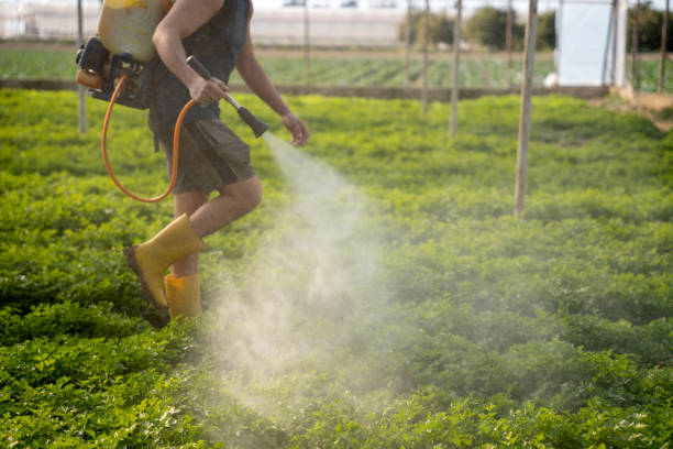 Best Affordable Pest Control Services  in Goshen, KY