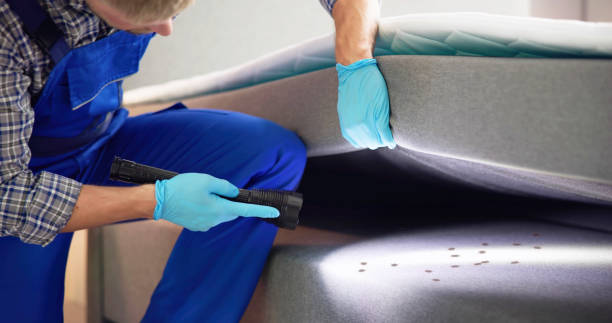 Best Bed Bug Extermination  in Goshen, KY