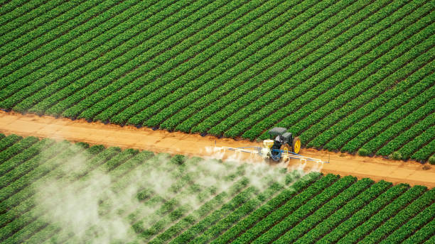 Best Commercial Pest Control Services  in Goshen, KY