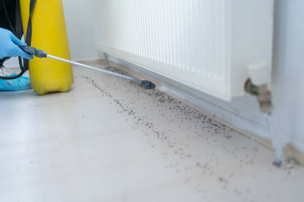 Best Emergency Pest Control  in Goshen, KY